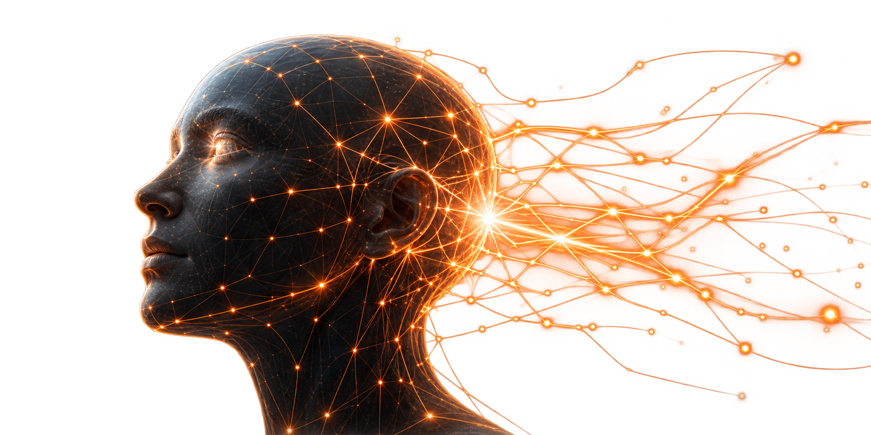 Vernetzte künstliche Intelligenz